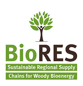 BioRES logo
