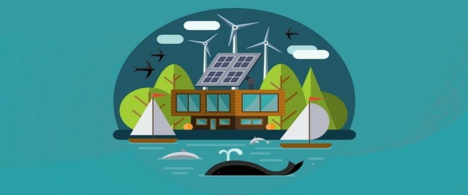 Climate change: EU leaders set 55% target for CO2 emissions cut