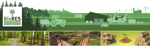 Training for the interested participants on supply chains for woody bioenergy