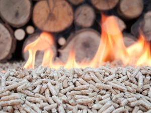 Straw instead of gas - Vojvodina plans to build a public storage of agricultural biomass